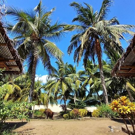 Moheli Laka Lodge Nioumachoua Ngoại thất bức ảnh